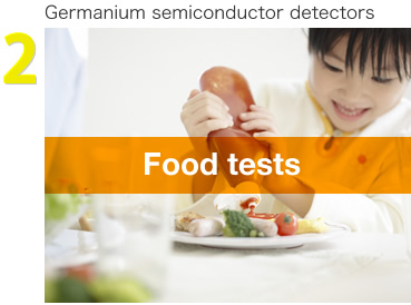 Germanium semiconductor detectors